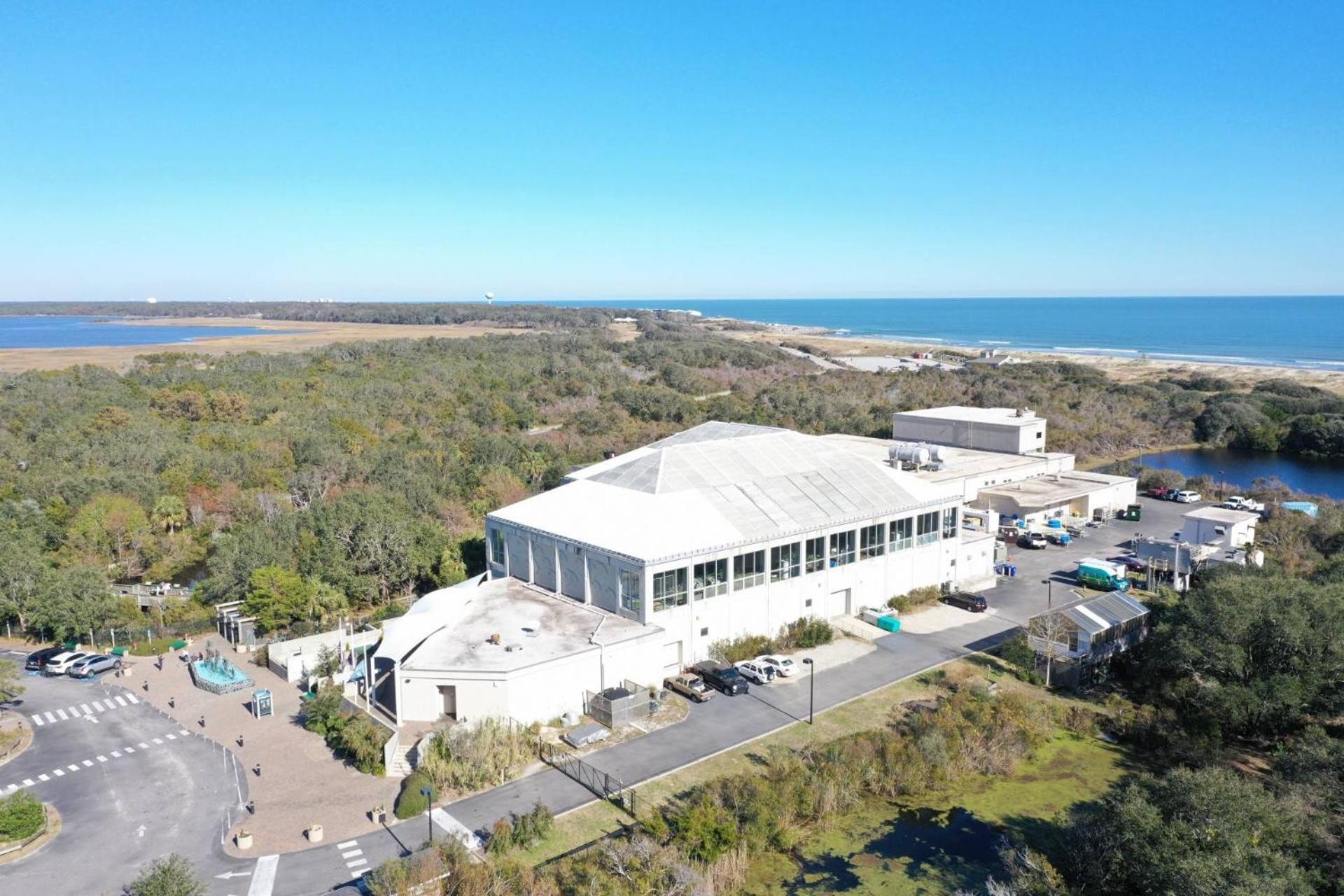 Sea Turtle'S Nest Villa Carolina Beach Exterior photo